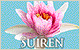 Suiren�̂T�����o���`�����l��